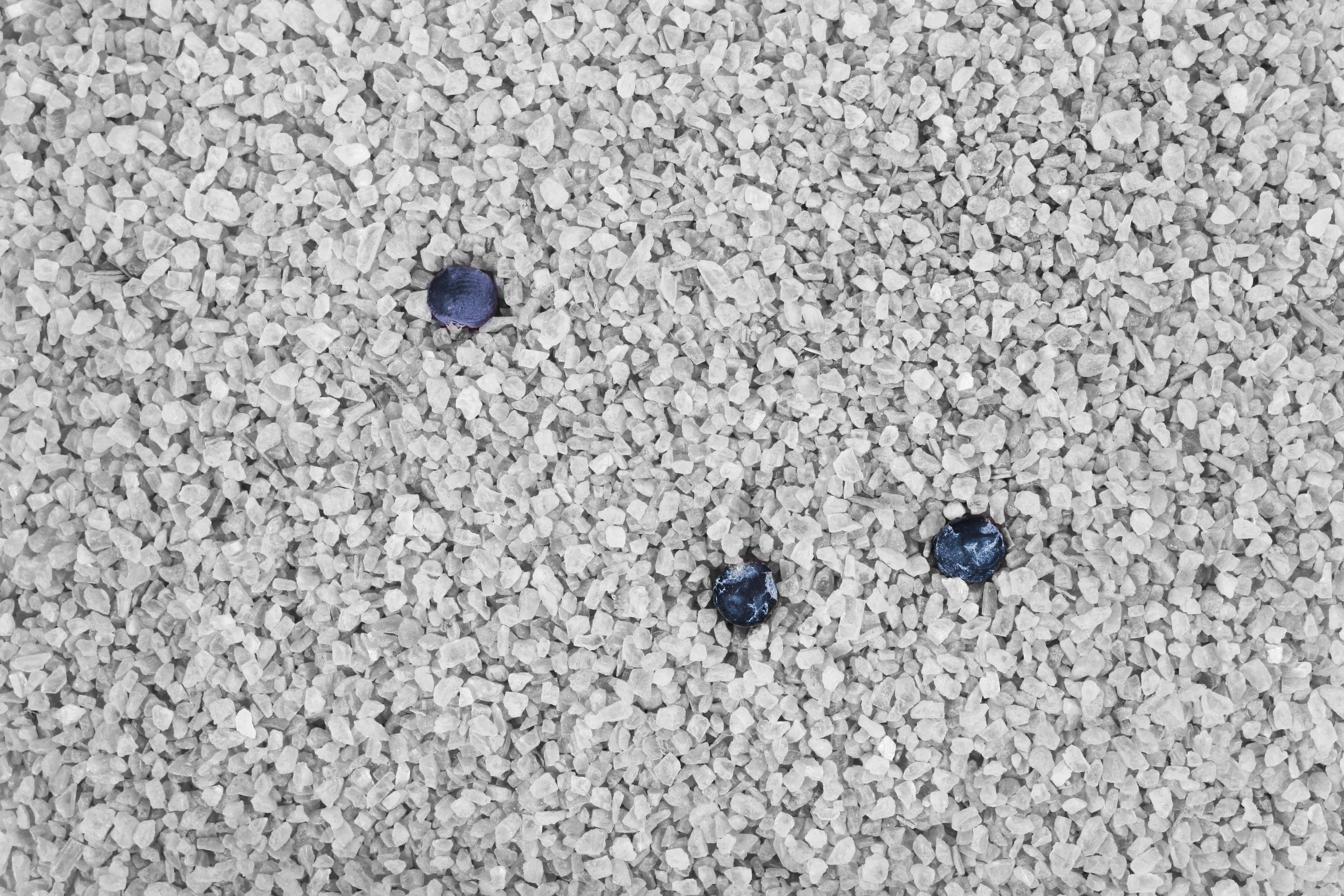 FTM Räuchersalz Forelle Spezial